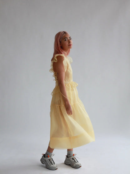 Camilla Dress • Silk Organza