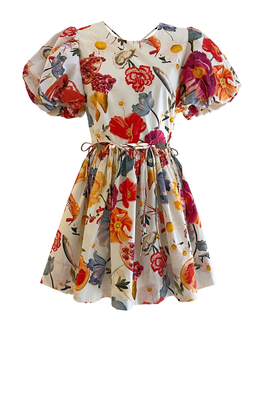 RUNWAY • Mini Rembrandt Dress