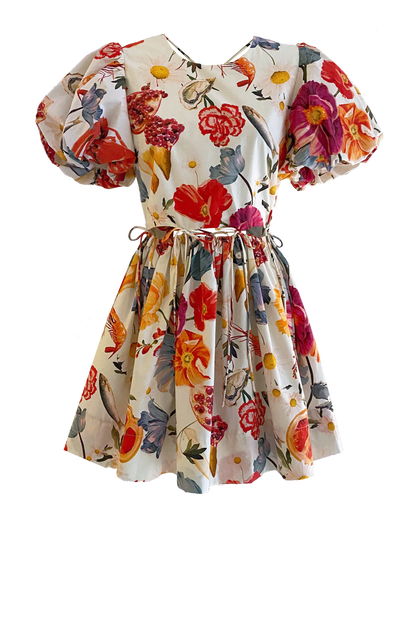 RUNWAY • Mini Rembrandt Dress