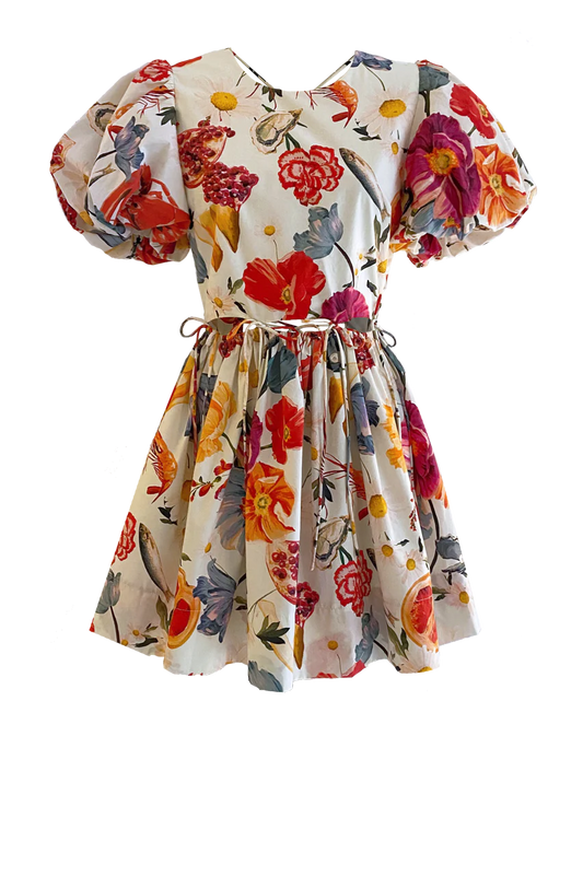 RUNWAY • Mini Rembrandt Dress